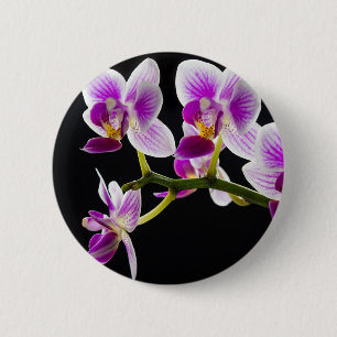 Witte en paarse orchidee ronde button 5,7 cm