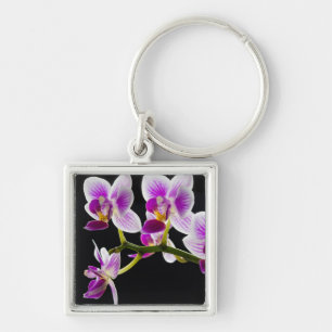 Witte en paarse orchidee sleutelhanger