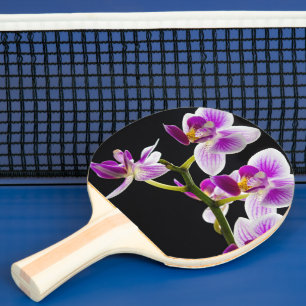 Witte en paarse orchidee tafeltennisbatje