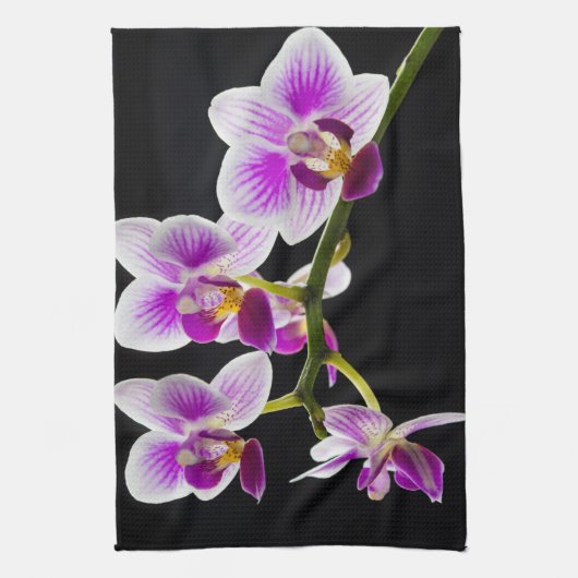 Witte en paarse orchidee theedoek (Verticaal)