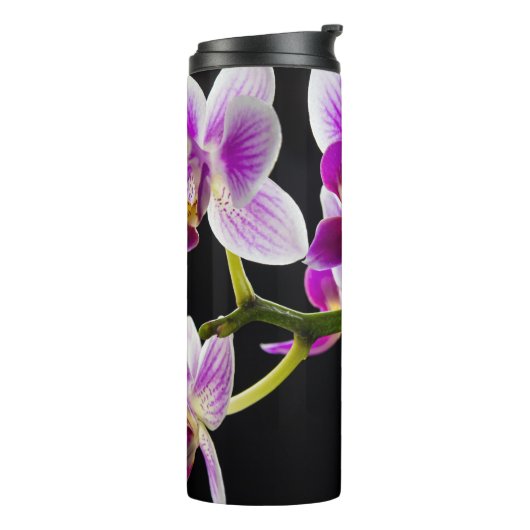 Witte en paarse orchidee thermosbeker (Gedraaid links)