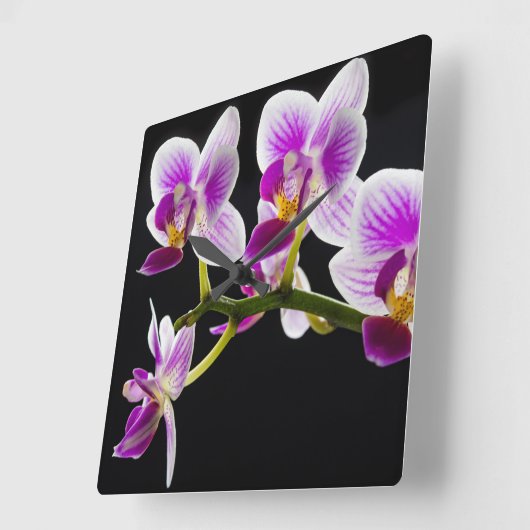 Witte en paarse orchidee vierkante klok (Hoek)