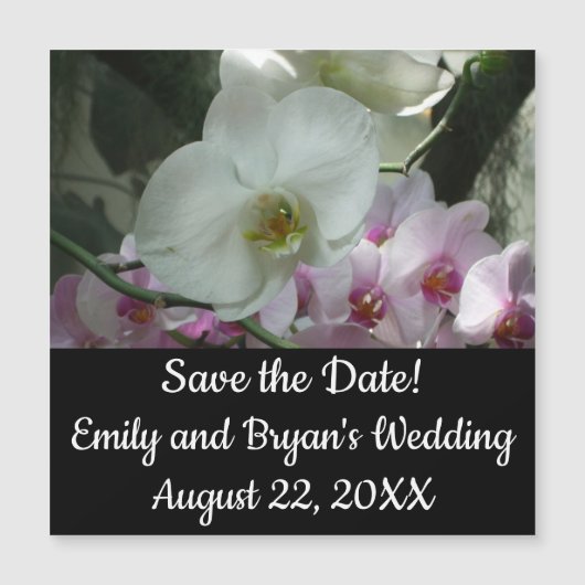 Witte en Paarse orchideeën (Voorkant)