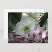 Witte en Paarse orchideeën (Voorkant / Achterkant)