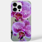 Witte en Paarse orchideeën | Afsluitende fotografi Case-Mate iPhone Case (Achterkant)