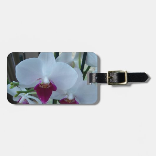 witte en paarse orchideeën bagagelabel (Voorkant horizontaal)