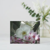 Witte en Paarse orchideeën Briefkaart (Staand voorkant)