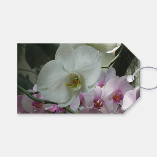 Witte en Paarse orchideeën Cadeaulabel (Voorkant (Horizontaal))