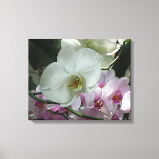 Witte en Paarse orchideeën Canvas Afdruk (Voorkant)