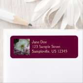 Witte en Paarse orchideeën Etiket (Insitu)