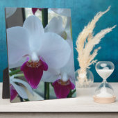 witte en paarse orchideeën fotoplaat (Zijkant)