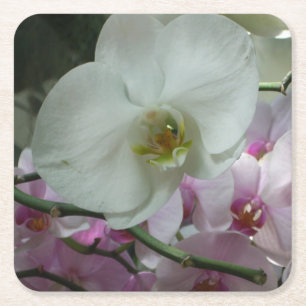 Witte en Paarse orchideeën Kartonnen Onderzetters