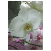 Witte en Paarse orchideeën Klembord (Achterkant)