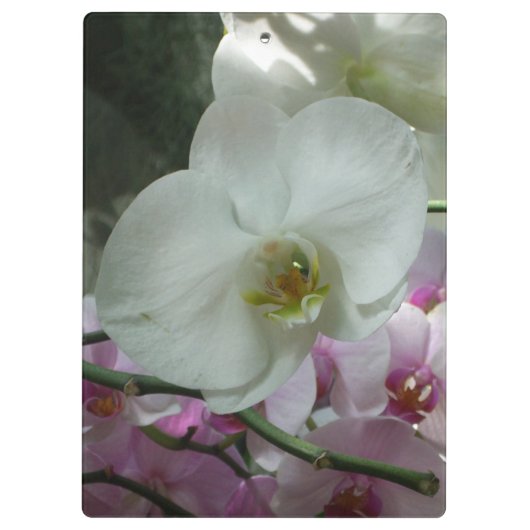 Witte en Paarse orchideeën Klembord (Achterkant)