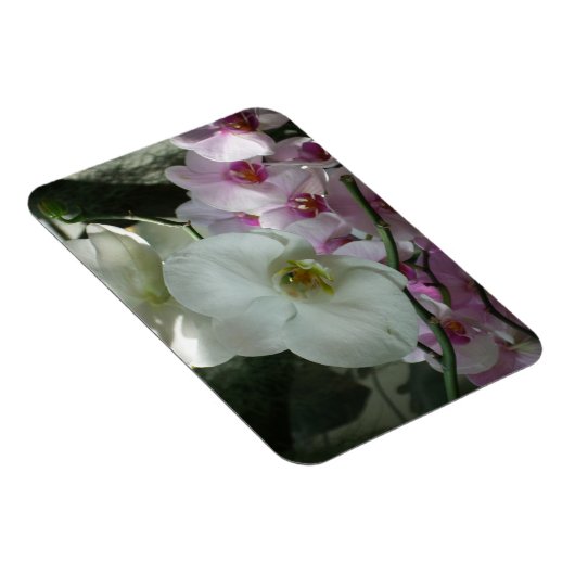 Witte en Paarse orchideeën Magneet (Rechterzijde)