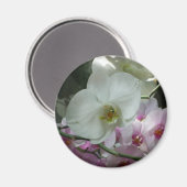 Witte en Paarse orchideeën Magneet (Voorkant / Achterkant)