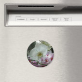 Witte en Paarse orchideeën Magneet (Insitu (Vaatwasser))
