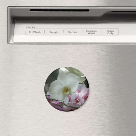 Witte en Paarse orchideeën Magneet (Insitu (Vaatwasser))