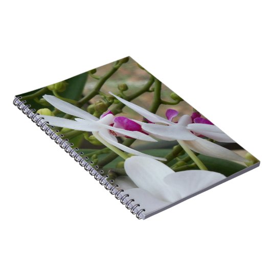 Witte en paarse orchideeën op een handig notitiebo notitieboek (Rechterzijde)