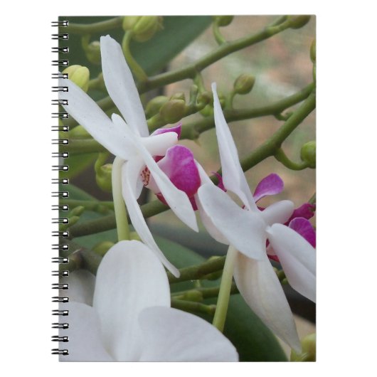 Witte en paarse orchideeën op een handig notitiebo notitieboek (Voorkant)