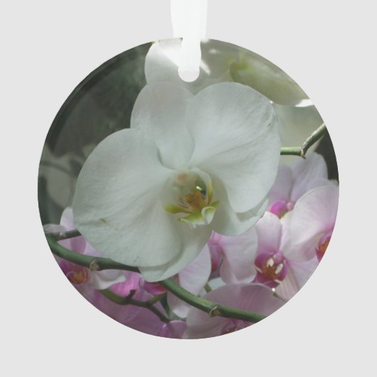 Witte en Paarse orchideeën Ornament (achterkant)