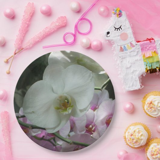 Witte en Paarse orchideeën Papieren Bordje (Feest)