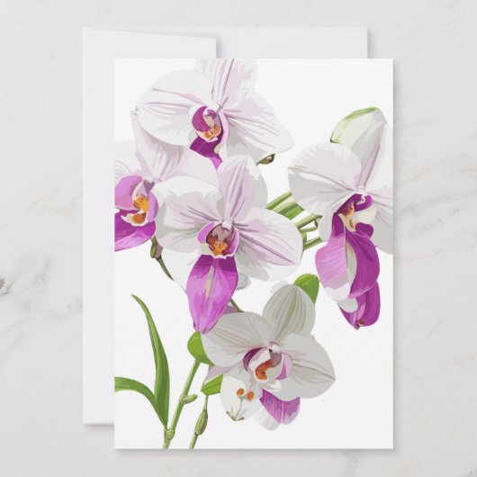 Witte en Paarse orchideeën schilderij 30e verjaard Kaart (Achterkant)