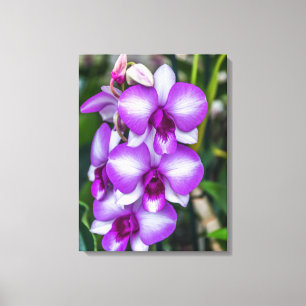 Witte en paarse orchideeën uitzicht canvas print