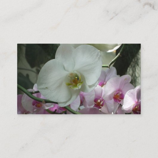 Witte en Paarse orchideeën Visitekaartje (Achterkant)