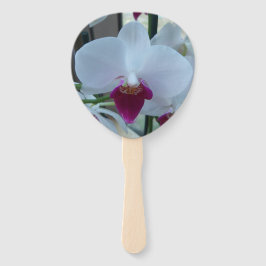 Witte en Paarse Phalaenopsis Orchiden Handwaaier