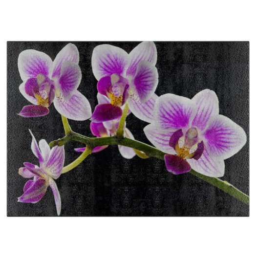 Witte en paarse snijplaat snijplank (Voorkant)