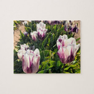 Witte en Paarse strips Legpuzzel