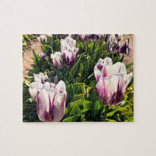 Witte en Paarse strips Legpuzzel (Horizontaal)