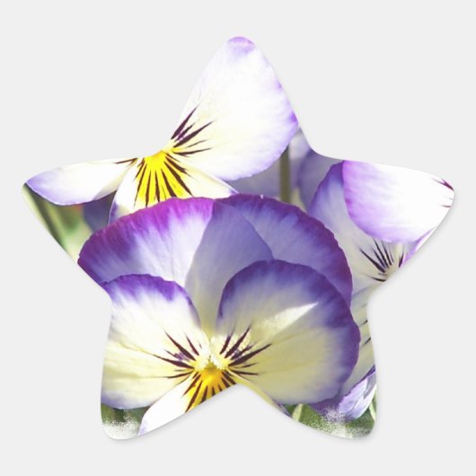 Witte en Paarse Viola's Stickers (Voorkant)