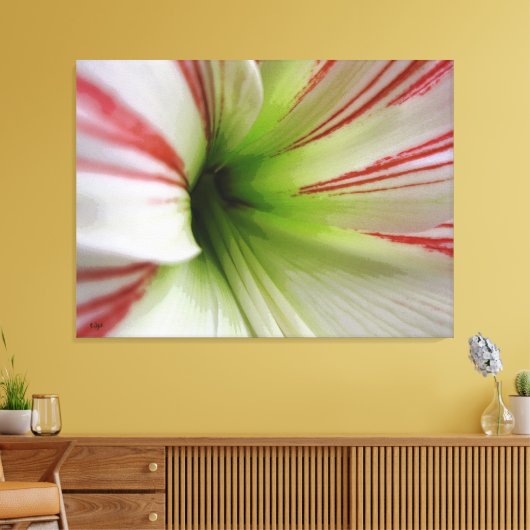 Witte en rode Amaryllis Flower Art Canvas Afdruk (Insitu (Woonkamer))