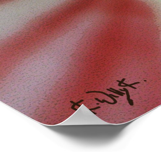 Witte en rode Amaryllis Flower Art Poster (Hoek)