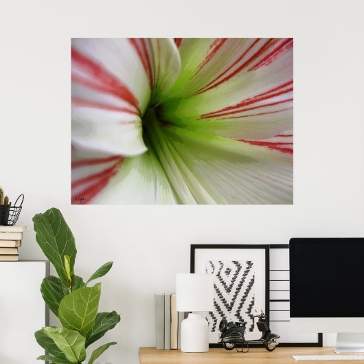 Witte en rode Amaryllis Flower Art Poster (Thuiskantoor)