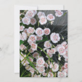 Witte en rode anjers kaart (Voorkant)