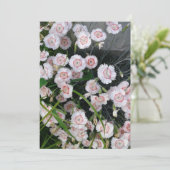 Witte en rode anjers kaart (Staand voorkant)