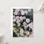 Witte en rode anjers kaart (Voorkant / Achterkant in situ)