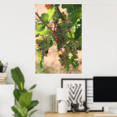 Witte en rode druiven poster (Thuiskantoor)