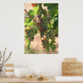 Witte en rode druiven poster (Keuken)