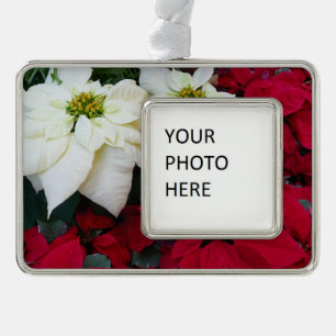 Witte en Rode Poinsettia II Kerstvakantie Verzilverd Omlijst Ornament