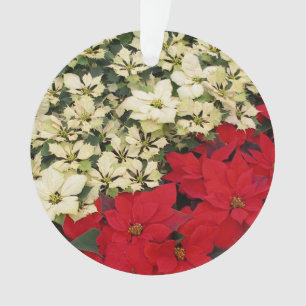 Witte en Rode Poinsettia's I Feestelijke Bloemstuk Ornament