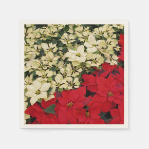 Witte en Rode Poinsettia's I Feestelijke Bloemstuk Servet
