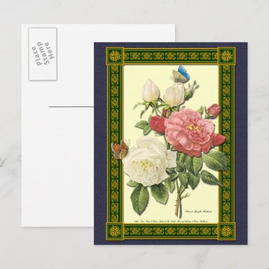 Witte en rode rozen Botanische Briefkaart (Voorkant / Achterkant)