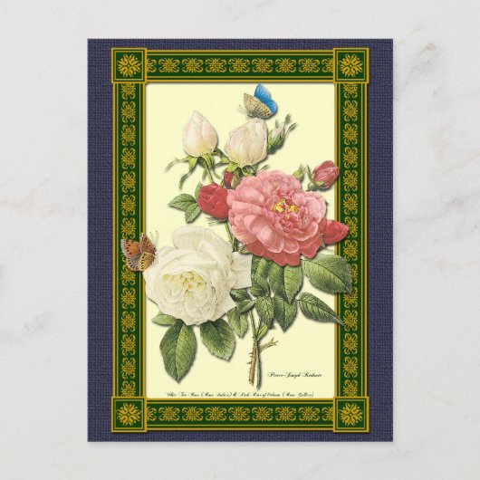 Witte en rode rozen Botanische Briefkaart (Voorkant)