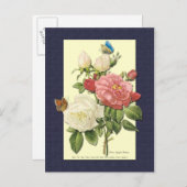 Witte en rode rozen Botanische Briefkaart (Voorkant / Achterkant)