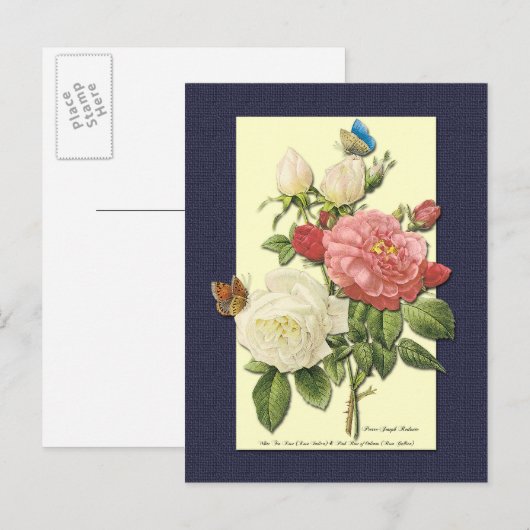 Witte en rode rozen Botanische Briefkaart (Voorkant / Achterkant)