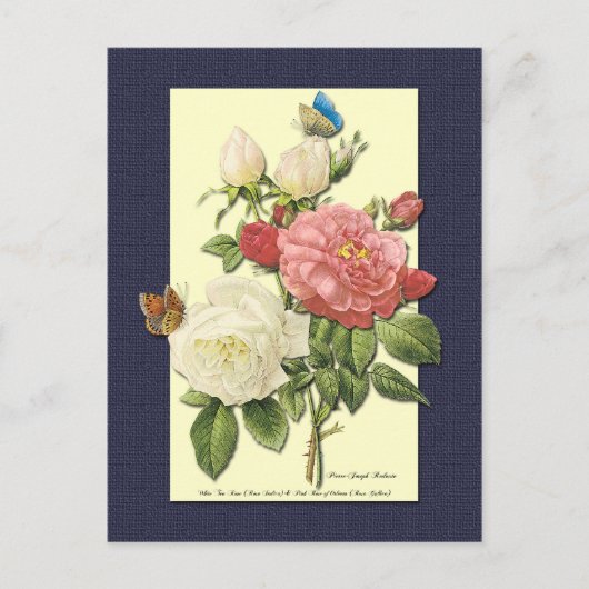 Witte en rode rozen Botanische Briefkaart (Voorkant)